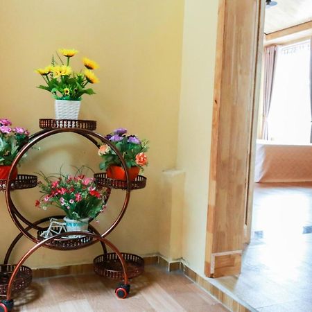 Cat Ba Vintage Homestay Cat Ba Island Buitenkant foto