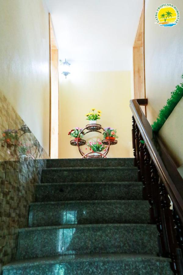 Cat Ba Vintage Homestay Cat Ba Island Buitenkant foto